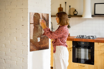 Magnettafel zum schreiben Querschnitt des Rumpfes