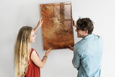 Magnettafel zum schreiben Querschnitt des Rumpfes