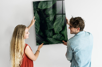 Magnettafel aus Glas Dschungelpflanzenblätter