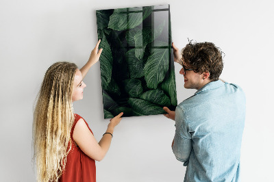 Magnettafel aus Glas Dschungelpflanzenblätter