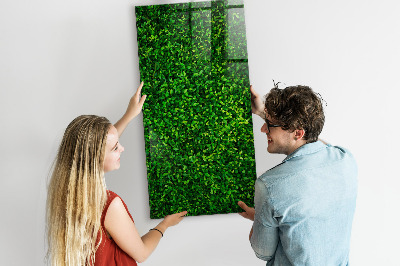 Trocken abwischbare Magnettafel Zaunpflanzenblätter