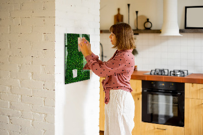 Trocken abwischbare Magnettafel Zaunpflanzenblätter