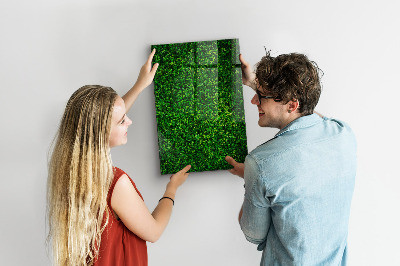 Trocken abwischbare Magnettafel Zaunpflanzenblätter