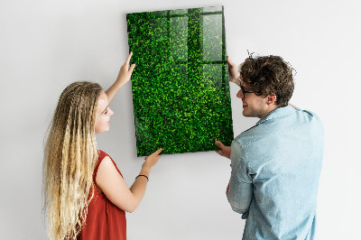 Trocken abwischbare Magnettafel Zaunpflanzenblätter