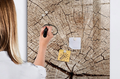 Magnetisches Zeichenbrett Querschnitt eines Baumes