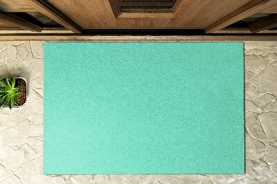 Outdoor-Türmatte vor der Tür Blasse Minze