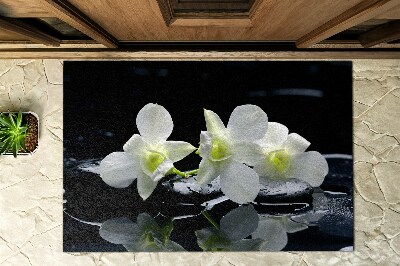 Fußmatte vor der Tür im Freien Orchideen