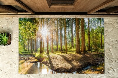 Fußmatte vor dem Haus Wald-Szenerie