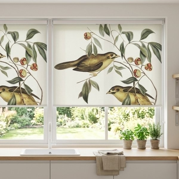 Fensterrollos